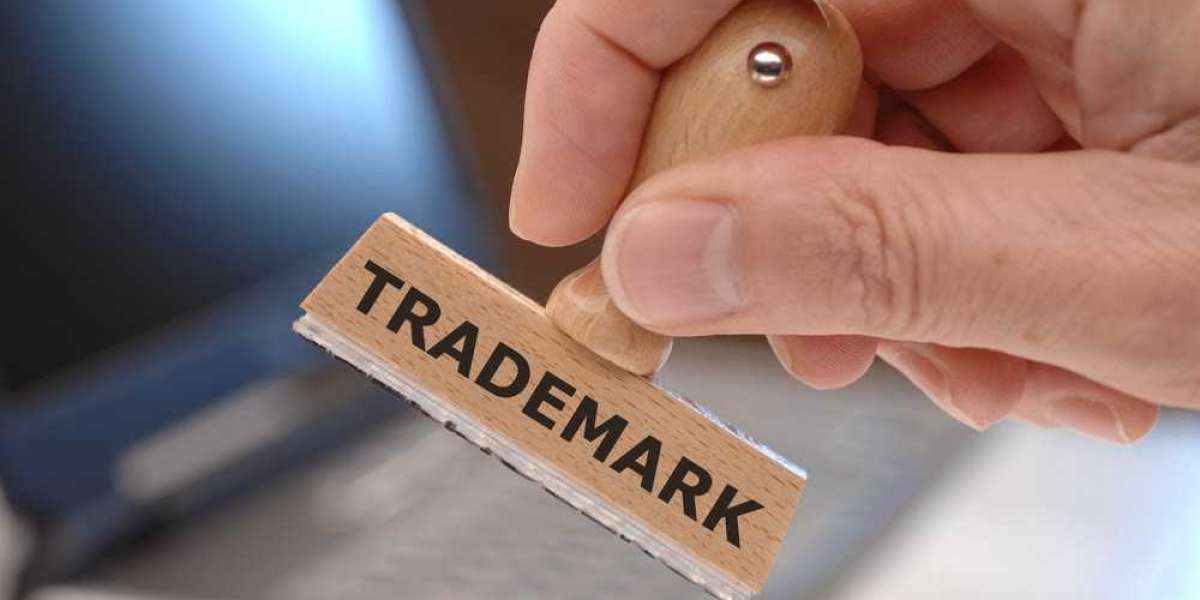 Looking For Trademark Registration in Dubai, UAE? Spiderbc