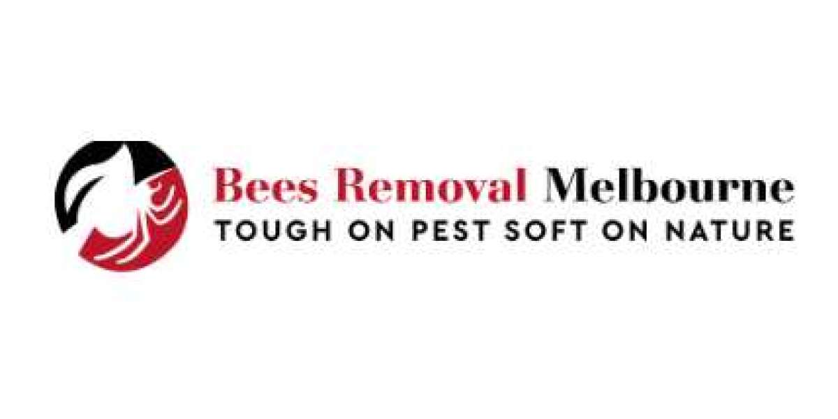 Is there is bees problem in place and want for a bees removal melbourne?