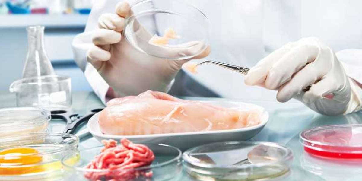Food Authenticity Testing Market Size, Share, Trends-2028