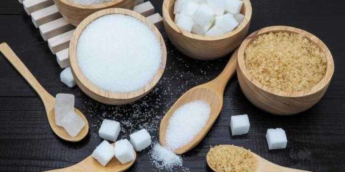 Syrups Sugar Excipients Market Growth Strategies and Forecast 2028