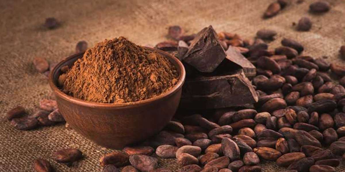 Cocoa Beans Market Profits and Regional Analysis by 2028
