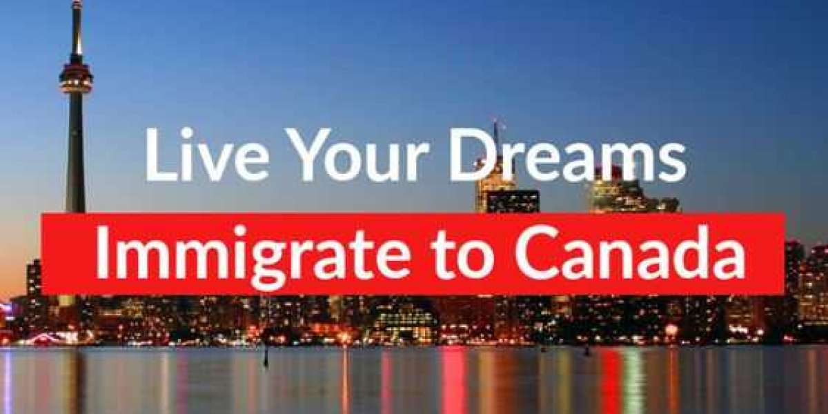 Benefits of Hiring an Immigration Consultant for Your Visa Application Process
