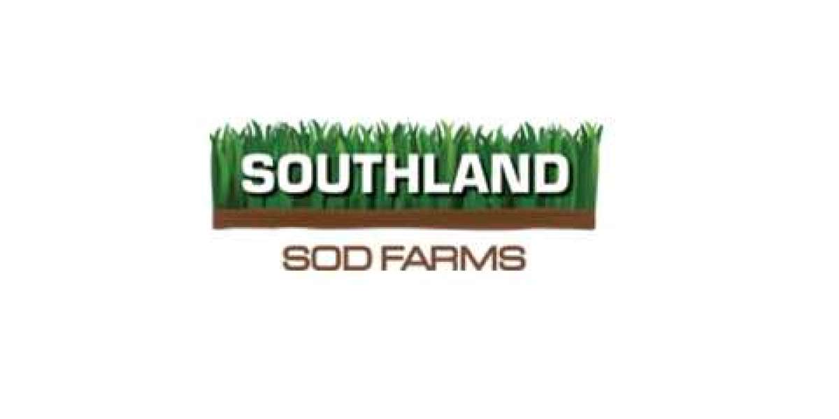 SOD Orange County: Your Premier Source for Quality Sod