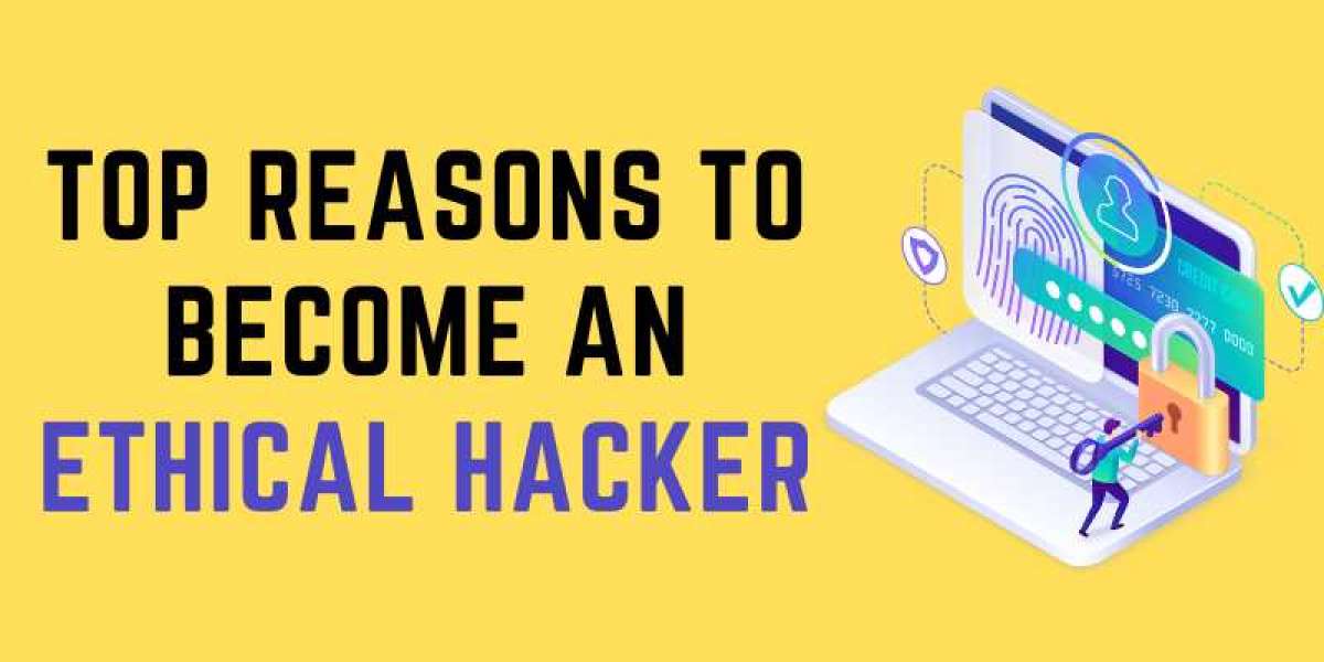 Top Reasons to Become an Ethical Hacker