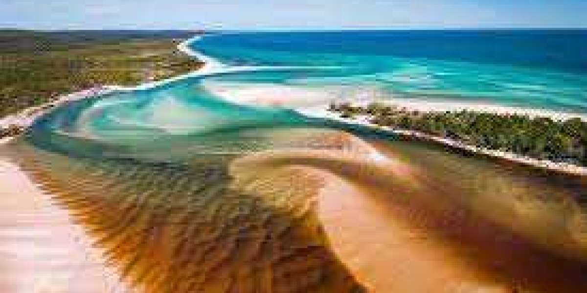 Journey into Paradise: The Ultimate Fraser Island Tour Experience