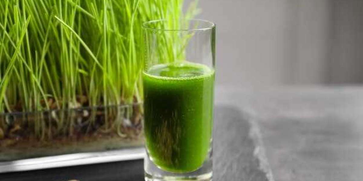 Is Wheatgrass Juice Beneficial for Cancer Patients?