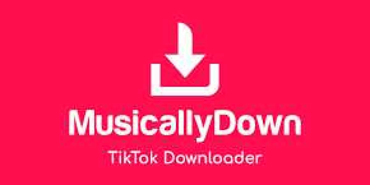 Unraveling the Musical Journey: Musically Down, TikTok Up