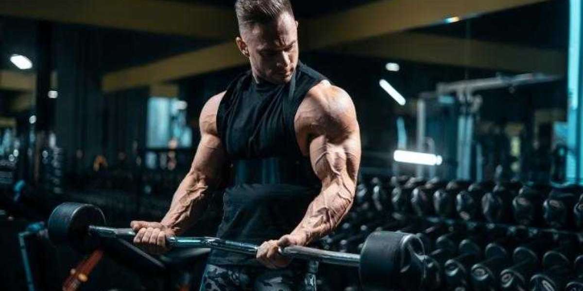 Muscle Building: The Correct Way for Beginners
