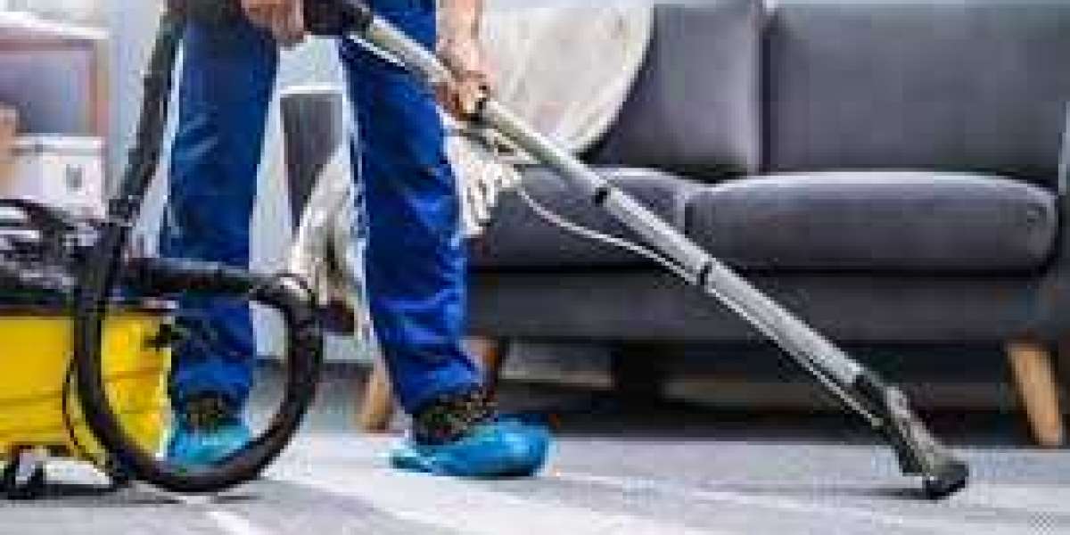 Why Every Business Should Invest in Professional Carpet Cleaning